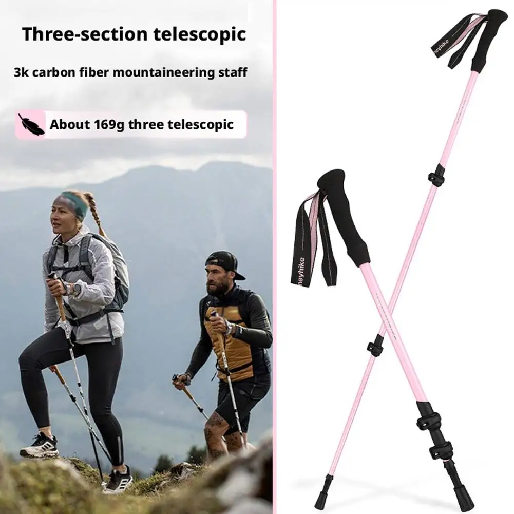 Ultralight Carbon Fiber 3-Section Pole
